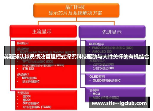 英超球队球员绩效管理模式探索科技驱动与人性关怀的有机结合 英超球队球员绩效管理模式探索科技驱动与人性关怀的有机结合