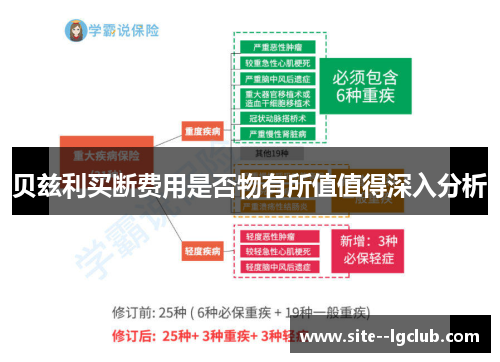 贝兹利买断费用是否物有所值值得深入分析 贝兹利买断费用是否物有所值值得深入分析