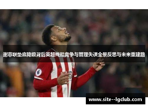 谢菲联垫底降级背后英超残酷竞争与管理失误全景反思与未来重建路